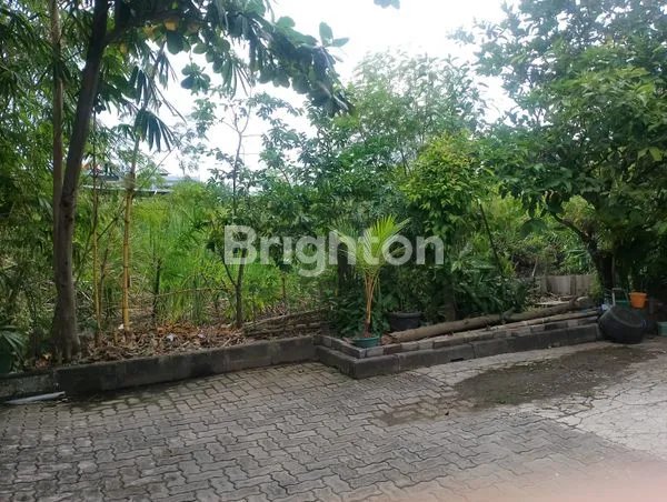 image TANAH DIJUAL (2)