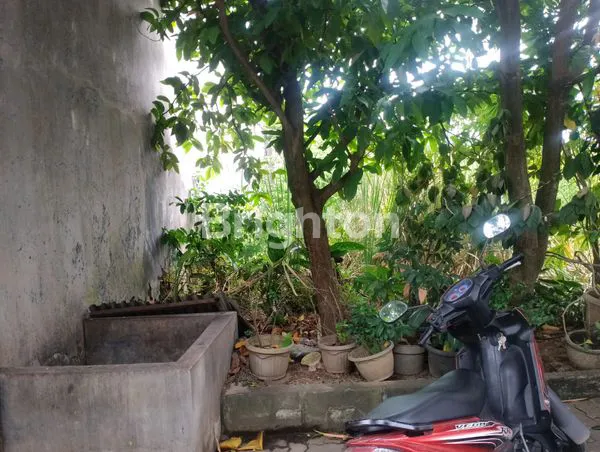 image TANAH DIJUAL (3)