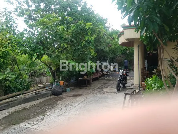 image TANAH DIJUAL (4)