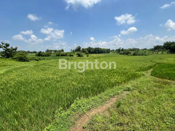 image TANAH STRATEGIS COCOK UNTUK INDUSTRI, PABRIK, GUDANG LOGISTIK, PERUM PUSAT PELATIHAN INDUSTRI DI CIKAMURANG SUBANG (3)