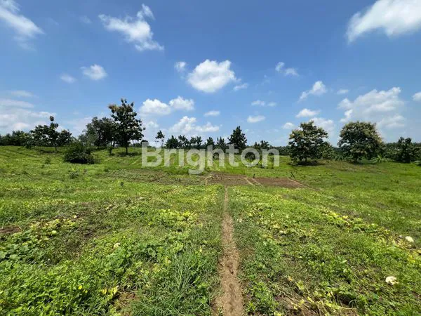 image TANAH STRATEGIS COCOK UNTUK INDUSTRI, PABRIK, GUDANG LOGISTIK, PERUM PUSAT PELATIHAN INDUSTRI DI CIKAMURANG SUBANG (1)