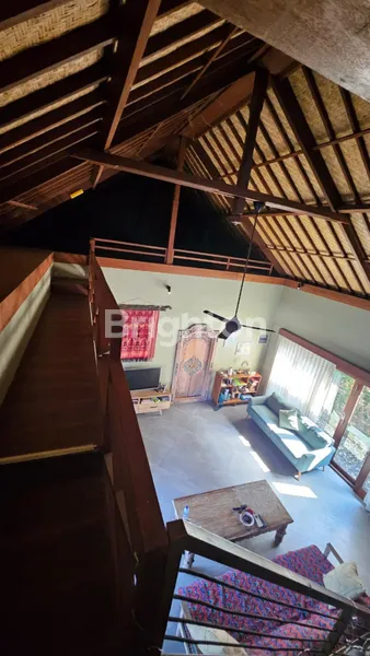 image DIJUAL RUMAH 2 LANTAI DI SANUR, HANYA 8 MENIT KE PANTAI (5)