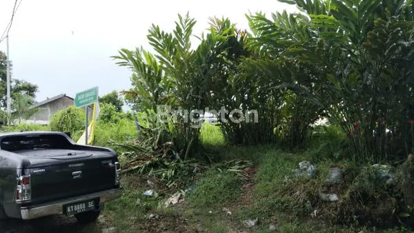 image TANAH DI JUAL (1)