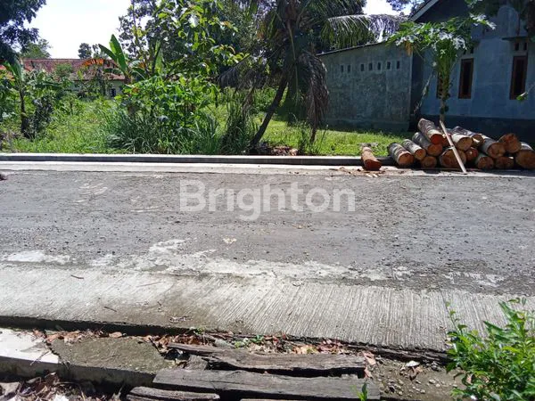 image TANAH DIJUAL DI BLIMBING KARANGNONGKO  (4)