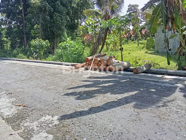 image TANAH DIJUAL DI BLIMBING KARANGNONGKO  (2)