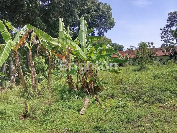 image TANAH DIJUAL DI BLIMBING KARANGNONGKO  (6)