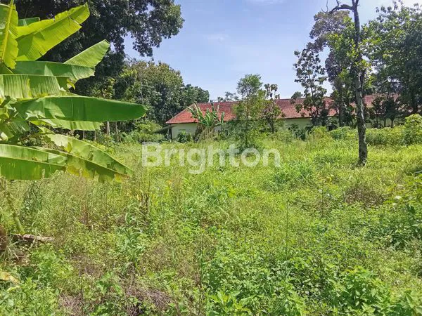 image TANAH DIJUAL DI BLIMBING KARANGNONGKO  (5)