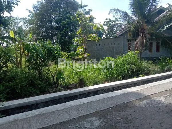 image TANAH DIJUAL DI BLIMBING KARANGNONGKO  (3)