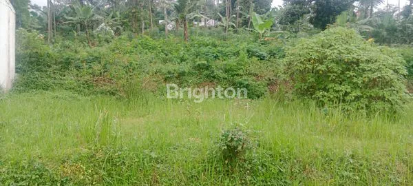 image TANAH UNTUK VILLA DI AMPEL BOYOLALI (6)