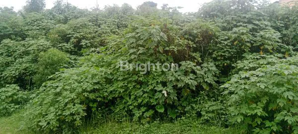 image TANAH UNTUK VILLA DI AMPEL BOYOLALI (3)