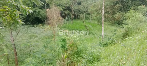 image TANAH UNTUK VILLA DI AMPEL BOYOLALI (8)