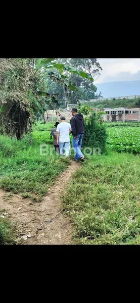 image TANAH MATANG SIAP BANGUN MAINROAD SAMARANG KOTA GARUT  JAWABARAT (4)