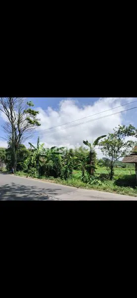 image TANAH MATANG SIAP BANGUN MAINROAD SAMARANG KOTA GARUT  JAWABARAT (2)
