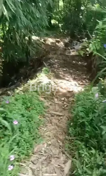 image JUAL TANAH LUAS DI DAERAH WISATA CUNTEL (3)