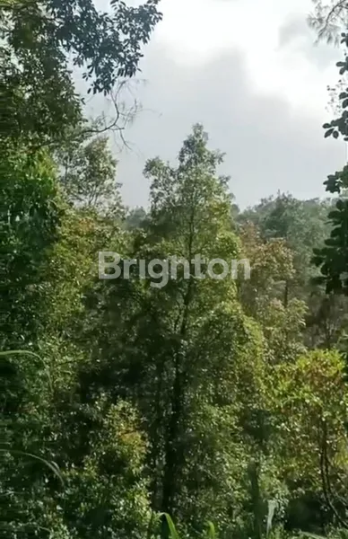 image JUAL TANAH LUAS DI DAERAH WISATA CUNTEL (4)