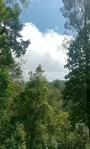 image JUAL TANAH LUAS DI DAERAH WISATA CUNTEL (6)