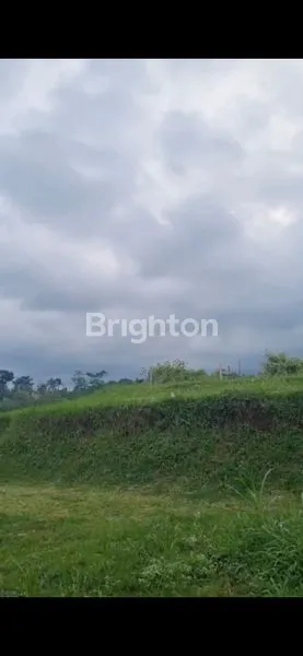 image TANAH 2.6 HA PINGGIR JALAN RAYA DAERAH WAGIR  MALANG (3)