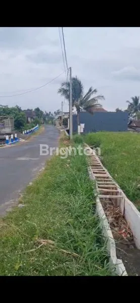 image TANAH 2.6 HA PINGGIR JALAN RAYA DAERAH WAGIR  MALANG (4)