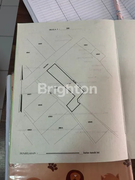 image TANAH 2.6 HA PINGGIR JALAN RAYA DAERAH WAGIR  MALANG (6)