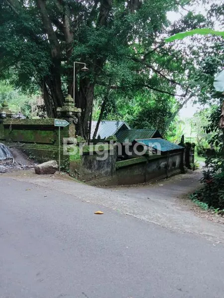 image JUAL TANAH SAWAH BERLOKASI DI PENEBEL DESA RANG GEDE (1)