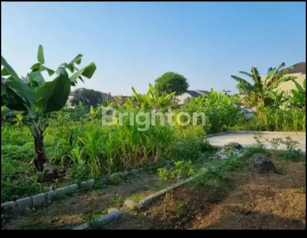 image INVESTASI TANAH DATAR SIAP BANGUN  (2)