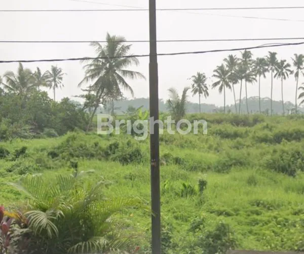 image TANAH DI PEPEN KEPANJEN MALANG (1)
