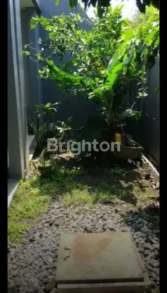 image RUMAH VALENCIA  (4)