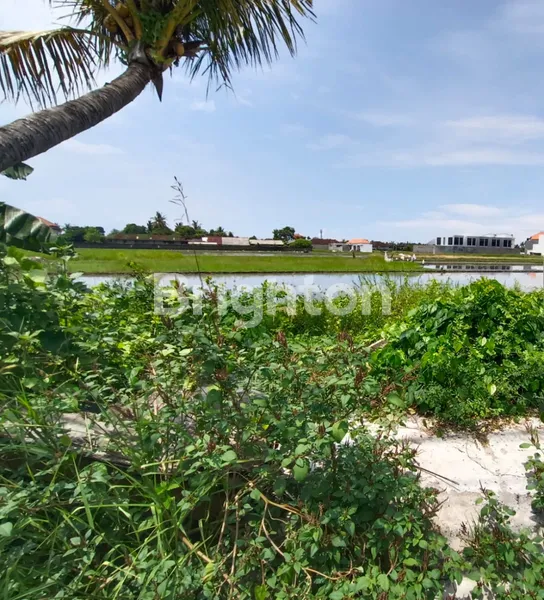 image TANAH DIJUAL DI MENGWI, BADUNG | LT 500 M² • SHM (1)