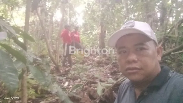 image TANAH LUAS 10 HEKTAR DI KUTIM, COCOK KEBUN SAWIT (5)