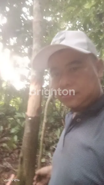 image TANAH LUAS 10 HEKTAR DI KUTIM, COCOK KEBUN SAWIT (6)