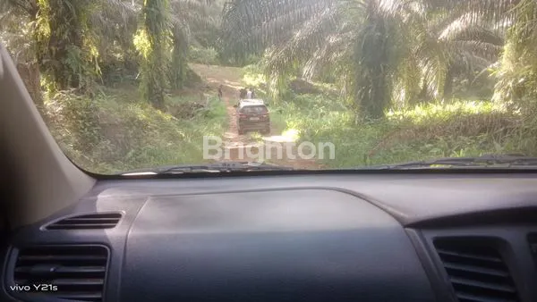 image TANAH LUAS 10 HEKTAR DI KUTIM, COCOK KEBUN SAWIT (2)