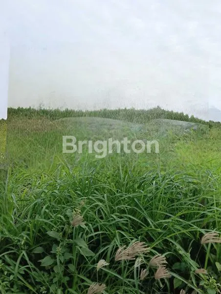 image TANAH, SURABAYA BARAT AREA KOMERSIAL, INDUSTRI (1)