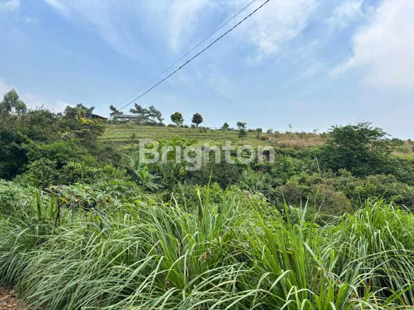 image DIJUAL TANAH DI CIJERUK BOGOR  (5)
