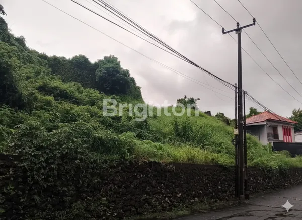 image LAHAN PREMIUM 22 ARE LEBIH DI JIMBARAN SIAP BANGUN & STRATEGIS (1)