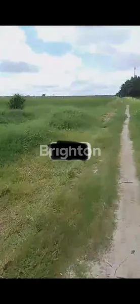 image DIJUAL TANAH 4HEKTARE TEBING TINGGI  (2)