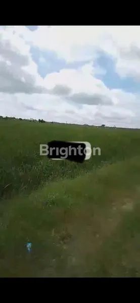 image DIJUAL TANAH 4HEKTARE TEBING TINGGI  (3)