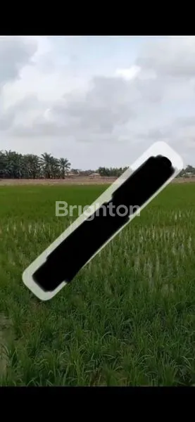 image DIJUAL TANAH 4HEKTARE TEBING TINGGI  (1)