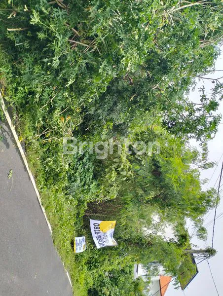 image TANAH DEKAT PANTAI MELASTI (3)