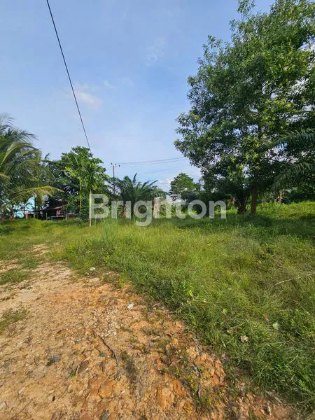 image TANAH POROS UTAMA JALAN DEKAT POLDA KALTIM STRATEGIS PADAT PERUMAHAN9 (2)