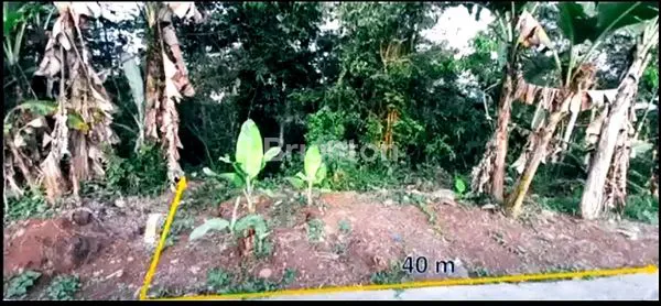 image TANAH STRATEGIS PINGGIR JALAN RAYA CIPANAS LEBAK (4)