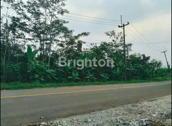image TANAH STRATEGIS PINGGIR JALAN RAYA CIPANAS LEBAK (1)