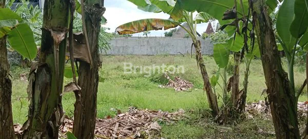 image TANAH LUAS DI KOTA KEDIRI (4)