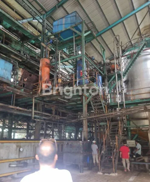 image DI JUAL PKS DAN KEBUN SAWIT (1)