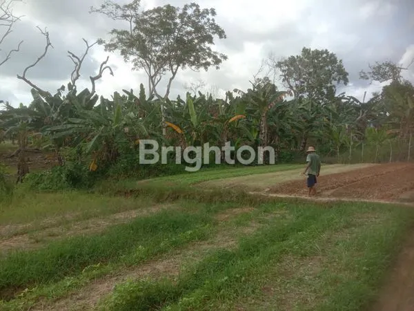 image INVESTASI STRATEGIS: TANAH 2942 M2 DEKAT PANTAI MANGGAR & AKSES TOL (1)