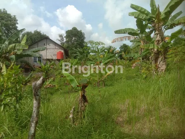 image INVESTASI STRATEGIS: TANAH 2942 M2 DEKAT PANTAI MANGGAR & AKSES TOL (2)