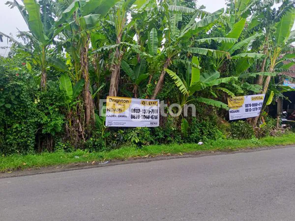 image TANAH SIAP BANGUN 4 ARE LOKASI STRATEGIS BONGAN TABANAN (5)