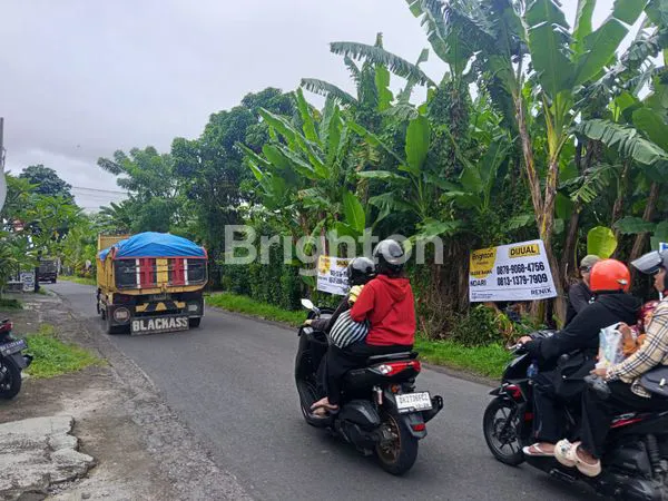 image TANAH SIAP BANGUN 4 ARE LOKASI STRATEGIS BONGAN TABANAN (4)