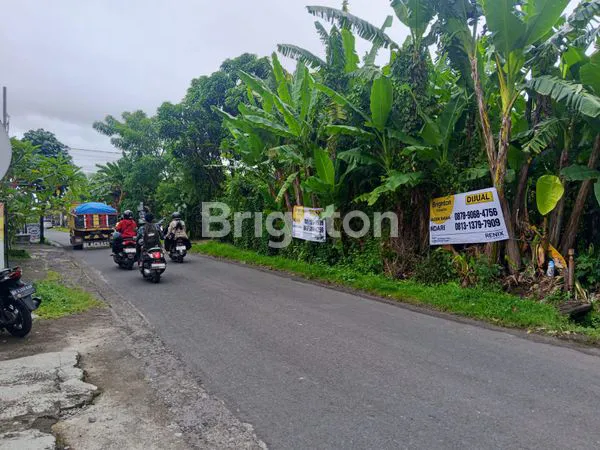 image TANAH SIAP BANGUN 4 ARE LOKASI STRATEGIS BONGAN TABANAN (6)