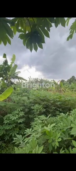 image TANAH LUAS 586M² DI PANONGAN, DEKAT CITRA RAYA (4)