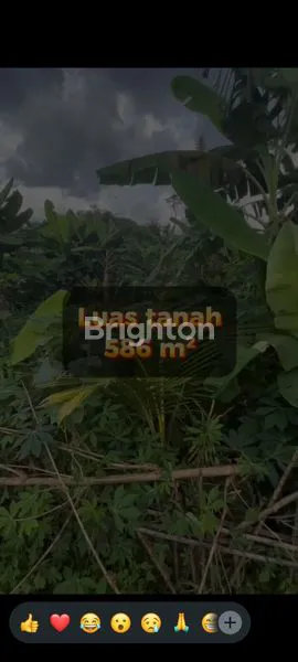 image TANAH LUAS 586M² DI PANONGAN, DEKAT CITRA RAYA (2)